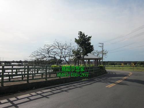 中壢南方莊園農地、中壢福嶺路農地、830坪 中央大學旁 - 20120528133504-185699437.jpg(圖)