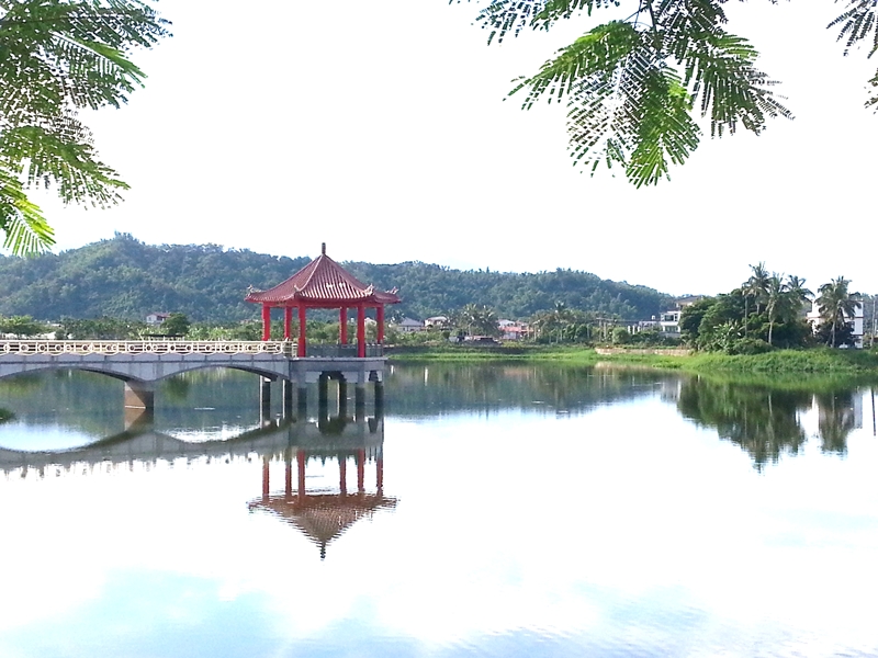 高雄、美濃、杉林、旗山、農地、土地、買賣,出售,專賣店 - 20130729124119-73130333.jpg(圖)