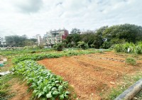 ❤️☞中工二期三面臨路都計內農☜❤️_圖片(1)