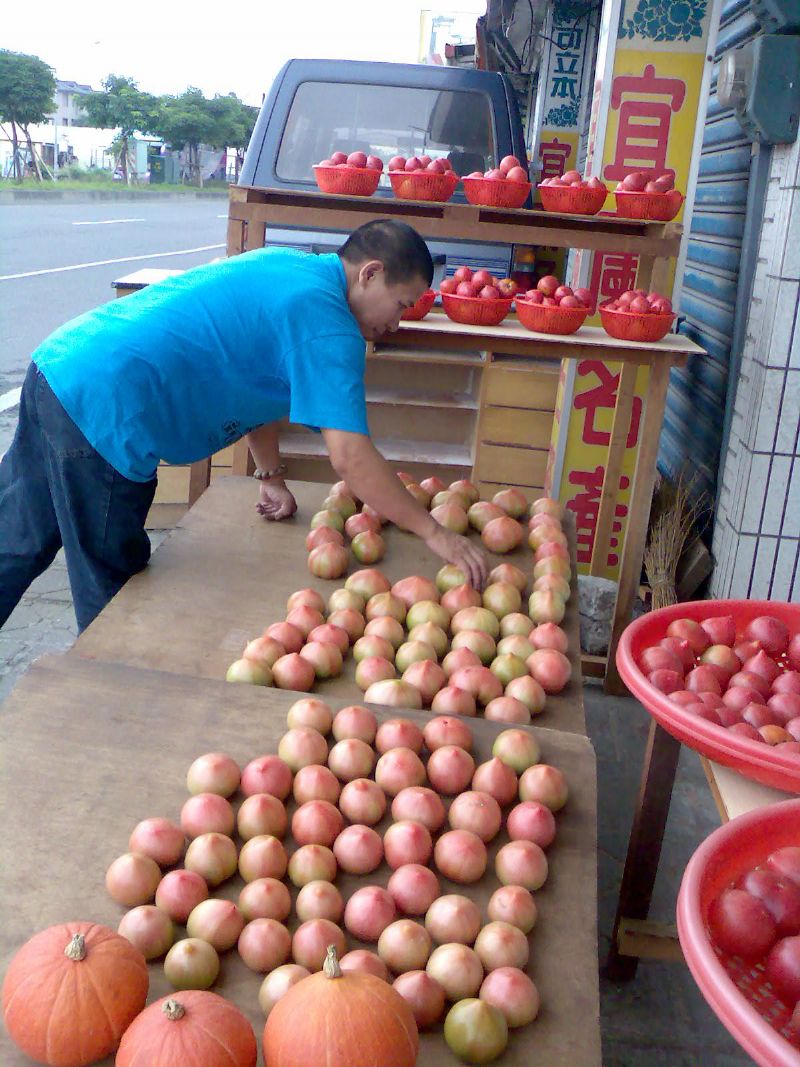 臺灣宜蘭礁溪溫泉番茄好吃又營養上市哦 - 20100513102517_718717734.jpg(圖)