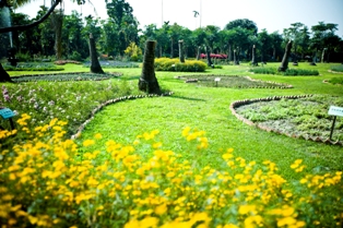 8大森林樂園 - 8大招待免費遊樂園 - 20101229163307_612869937.JPG(圖)