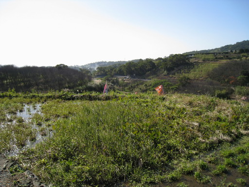 好山好水~陽明山平等里平菁街農地 - 20101230012502_91152676.jpg(圖)