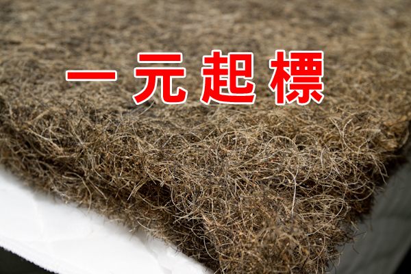 【布拉琪】【諾貝達】【一元起標】歐美流行品 馬毛LFK床墊 公開製程 - 20110318114356_424597609.jpg(圖)