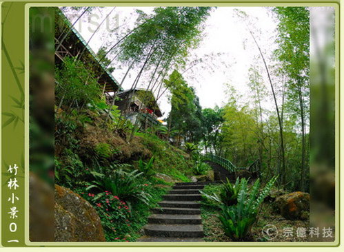 ◎南投鹿谷新明山渡假村--《二日雙平住宿券--升等4人房不加價--含下午茶、晚餐、早餐及鳳凰谷鳥園門票4張--特價2980元！》  - 20110802195148_287715968.jpg(圖)