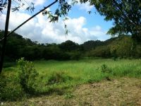 台北近郊,農地釋出,青山流水,獨特天然,佳機難覓-本基地屬:東北角海岸風景特定區計畫案_圖片(4)