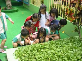 高雄市鼓山區振才幼兒園──把握孩子的關鍵時刻，從受孕的那一刻開始做起。《大高雄市鼓山區幼稚園,幼兒園》 - 20121011160350_942775828.jpg(圖)