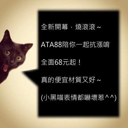 ATA88購物網 - 20130711190205_540795149.jpg(圖)