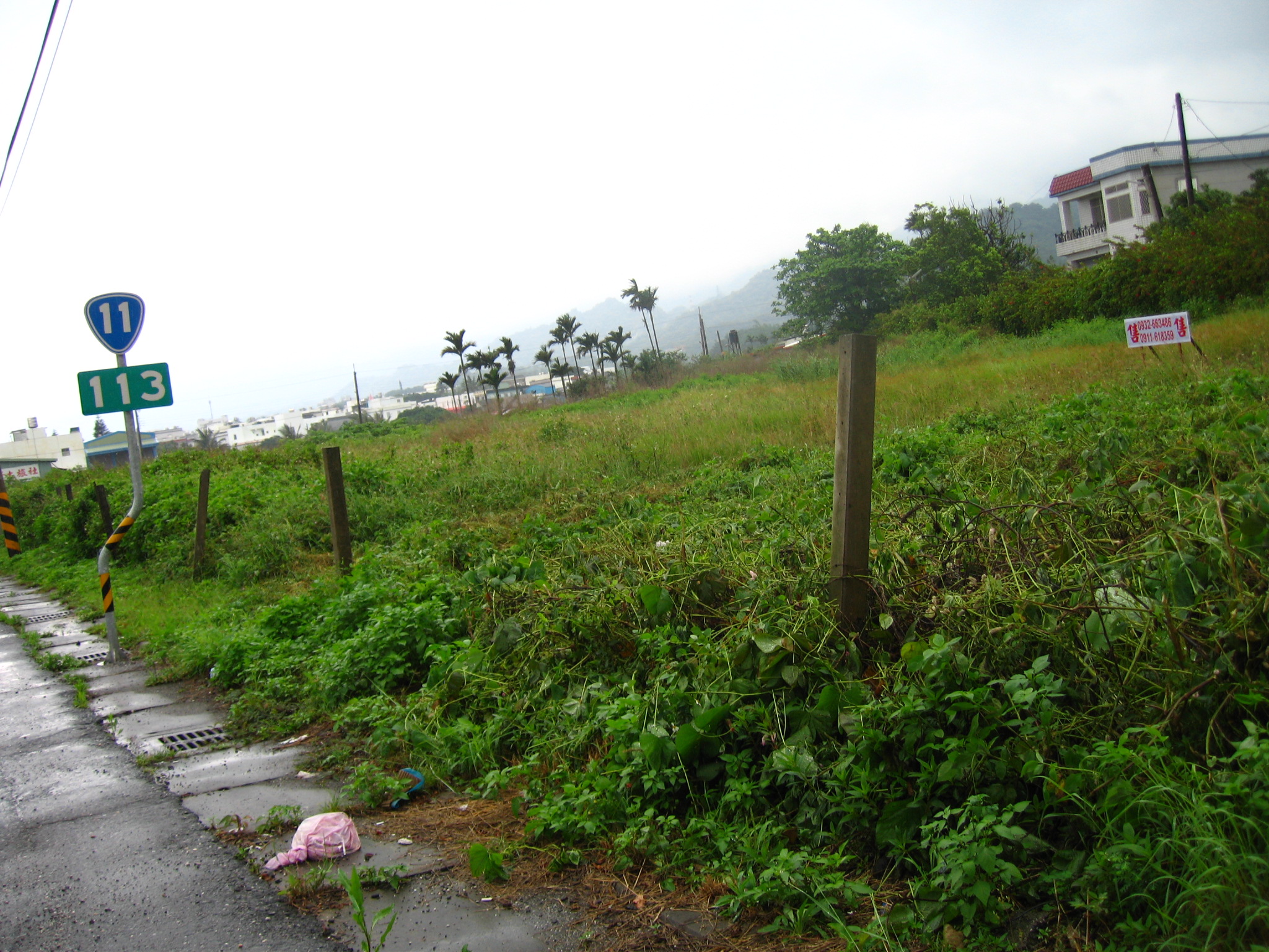 台東縣成功鎮(農地-可議價) - 20140207153522-762552872.jpg(圖)