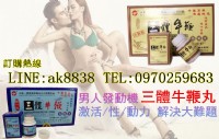 純中藥三體牛鞭丸_圖片(2)