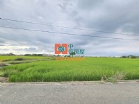 【售】大埤美農地_圖片(4)