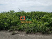 【售】四湖萡子寮3分農地_圖片(4)