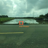 【售】土庫埤腳農地_圖片(3)