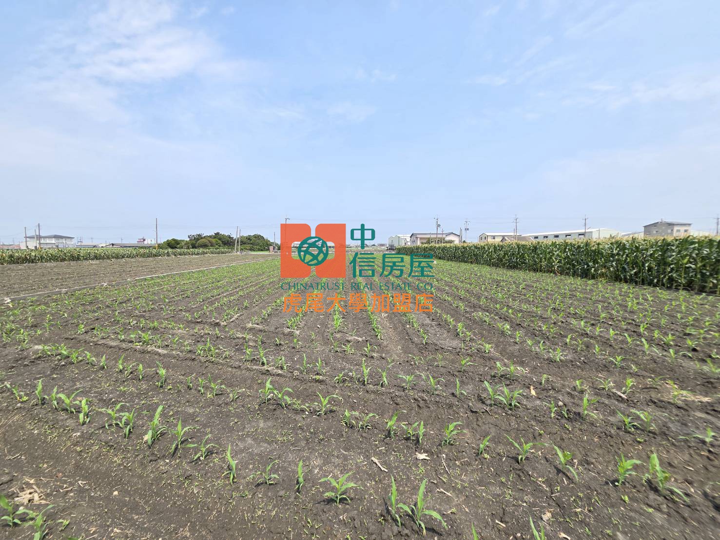 【售】土庫大荖農地 - 20260402143630-111841216.jpg(圖)