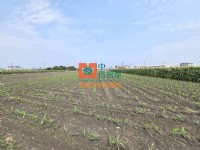 【售】土庫大荖農地_圖片(2)