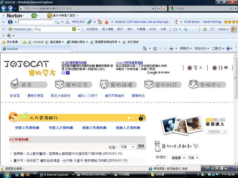 JOJOCAT寵物人力銀行 - 20100120190114_985877448.jpg(圖)
