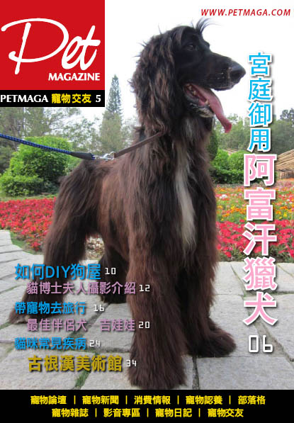 PETMAGA寵物雜誌第5期-宮庭御用阿富汗獵犬  - 20101011095549_763123513.jpg(圖)