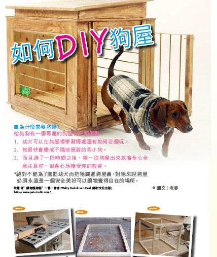 PETMAGA寵物雜誌第5期-宮庭御用阿富汗獵犬  - 20101011095549_763209267.jpg(圖)