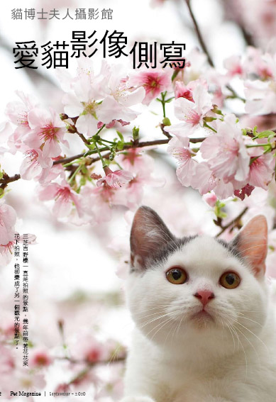 PETMAGA寵物雜誌第5期-宮庭御用阿富汗獵犬  - 20101011095549_763222412.jpg(圖)