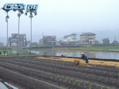 宜蘭法拍代標公司,三星建地,司法院法拍屋查詢系統,三星優美建地 - 20100503235704_484165359.jpg(圖)