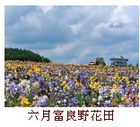 6/21夏日北海道【SUMMER HOKKAIDO】~紫色富良野賞花．溫泉名湯、螃蟹美食５日遊(季節限定版)31800元含稅  - 20090601122115_831165312.jpg(圖)