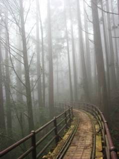 從阿里山的山腳下沿路玩到最高峰!!  - 20090622162603_659235937.jpg(圖)