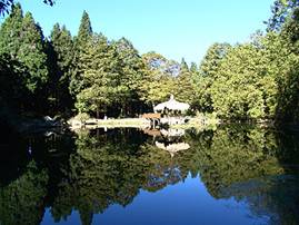 ★阿里山三日遊~悠閒的體會阿里山美景★ - 20090722154256_248719875.jpg(圖)