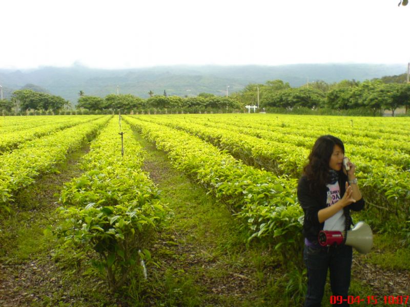 台東鹿野 龍田阿度的店 - 20090421210017_319898300.JPG(圖)