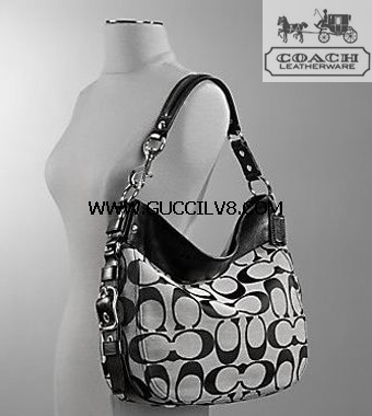 1：1包包(LV,GUCCI,CHELO,COACH)買就送，買越多送更多 - 20091224191231_654430546.jpg(圖)